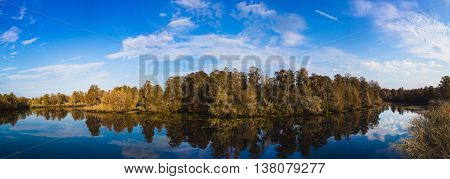 Panorama from the watchtower in Lettuce Lake State Park in Tampa, Florida.