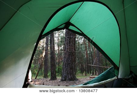 Grüne Zelt auf den Wald