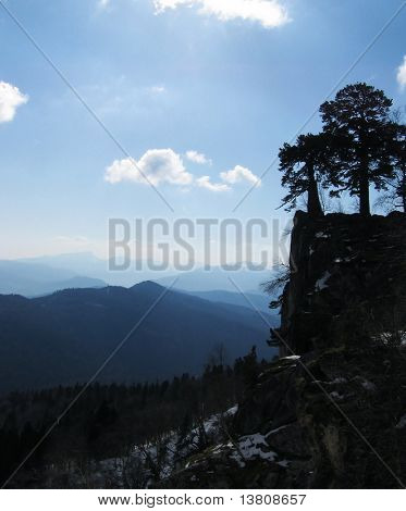 Blue Mountains