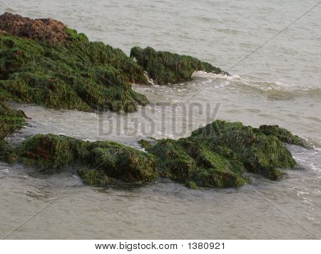 Mer