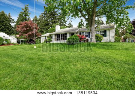 Grass Filled Front Garden Of American Classic Rambler.