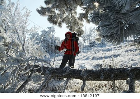 Uomini della foresta invernale