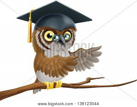 Owl Graduate Or Teacher