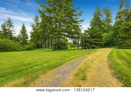 Amazing farm house backyard with green lawn fir trees bushes and driveway