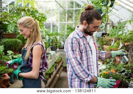 Happy young co-workers watering potted plants at greenhouse