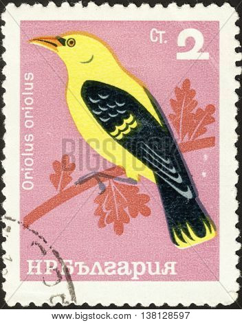 MOSCOW RUSSIA - DECEMBER 2015: a post stamp printed in BULGARIA shows a bird with the inscription "Oriolus oriolus" the series "Birds" circa 1965