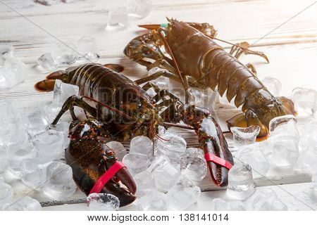 Fresh lobsters on ice cubes. Lobsters with tied claws. Expensive seafood served at restaurant. Crustaceans of big size.