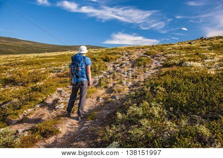 hiker with backpack traveling in Norway mountains Dovre
