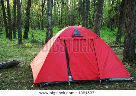 Forest Camp