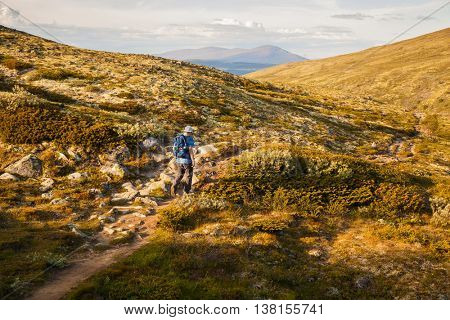 hiker with backpack traveling in Norway mountains Dovre