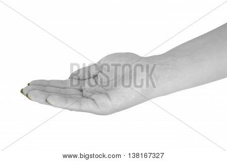 Open hand holding something natural female's skin yellow manicure. Isolated on white background.