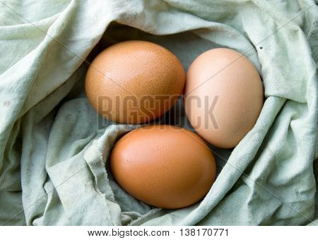 the brown eggs wrapped in a rag