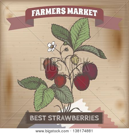 Fresh strawberry in garden color hand drawn vector sketch placed on wooden background. Farmers market series. Great for cooking, gardening, farming or agricultural design.