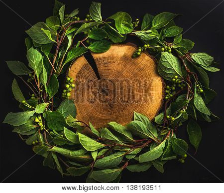 Background with Schisandra chinensis wreath around wooden board on dark, top view, copy space