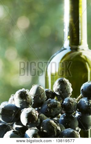 Vin og druemost