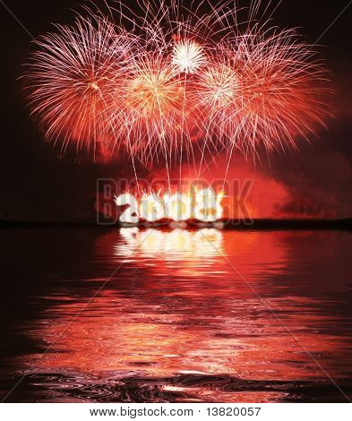 ดอกไม้วัน 2008