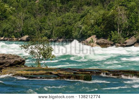 Niagara River At White Water Walk In Canada