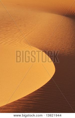 Wüste