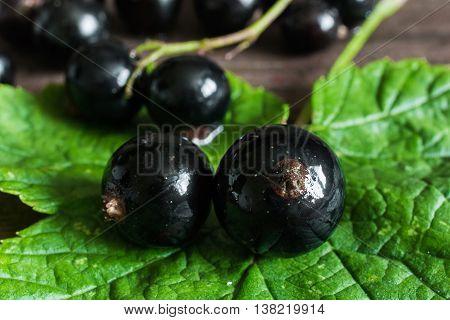 fresh black currants on green leaf. soft focus
