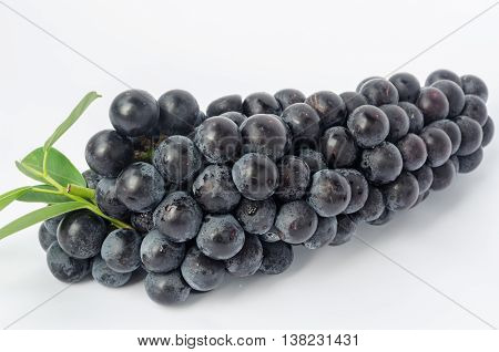 Grapes On White Background.