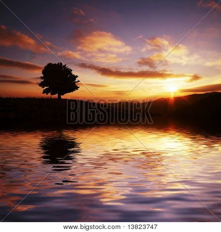 Puun siluetti sunset-järven rannalla