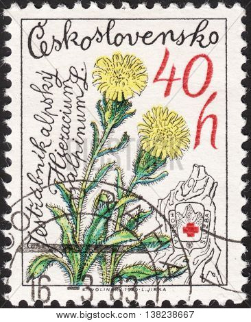 MOSCOW RUSSIA - JANUARY 2016: a post stamp printed in CZECHOSLOVAKIA shows a flower with the inscription 