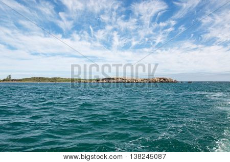 View of Penguin Island with nesting wildlife, limestone and vegetated dunes with the turquoise Indian Ocean waters under a blue sky with clouds in Rockingham, Western Australia.
