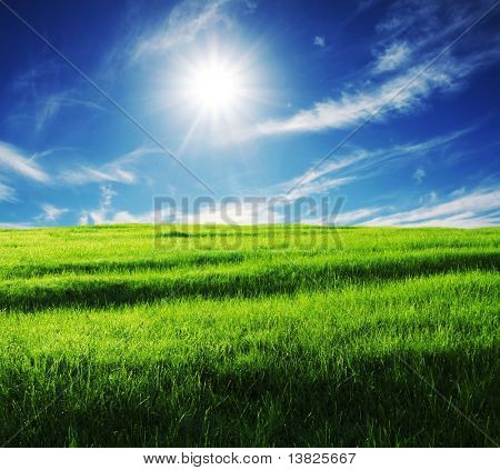 Campo di primavera