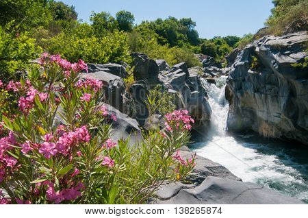 Alcantara River Reserve