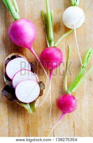 Small appetizer bruchetta with radish