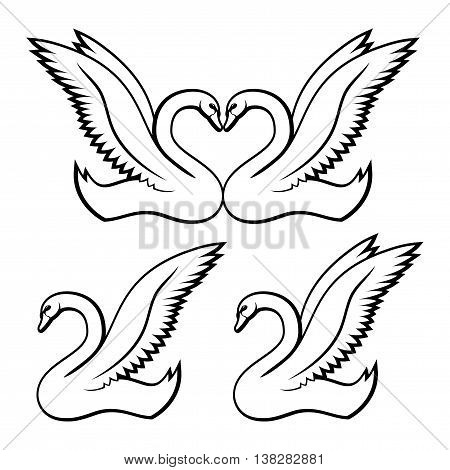 Elegant white swans signs on a white background.
