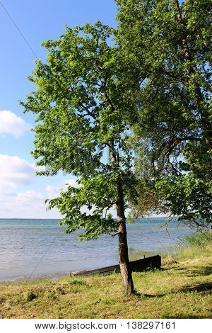 Summer at the lake Naroch, the largest lake in Belarus