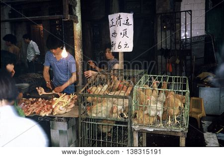 GUANGZHOU / CHINA - CIRCA 1987: Very freshly butchered chickens are available for sale in Guangzhou's Qingping Market.