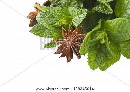 cinnamonstar anise mintl icorice close up on the white