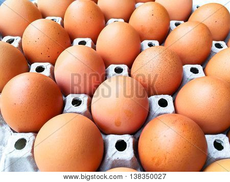 A lot of eggs waiting for cooking in the morning.