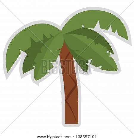 flat design palm tree icon vector illustration