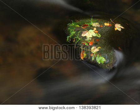 Colorful aspen leaves on boulder in mountain stream. Cold water blurred by long exposure, blue reflection in water level.