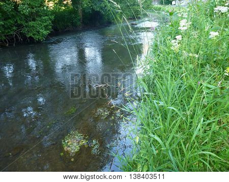 Small Guiet Stream In Deep Grass