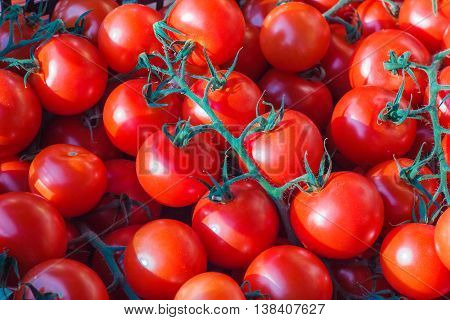 Red tomatoes on a market. Natural food.