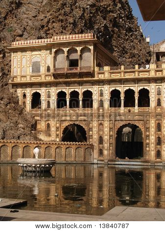 Macaco templo Galwar Bagh em Jaipur, Índia