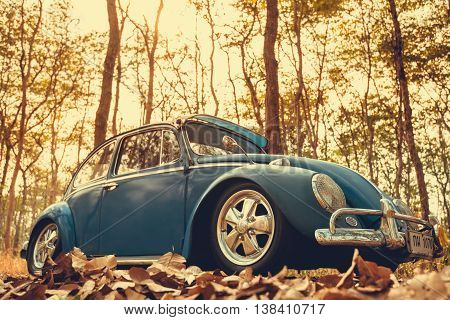 Vintage Car Volkswagen Retro Blue Color In Forest Leaves Brown