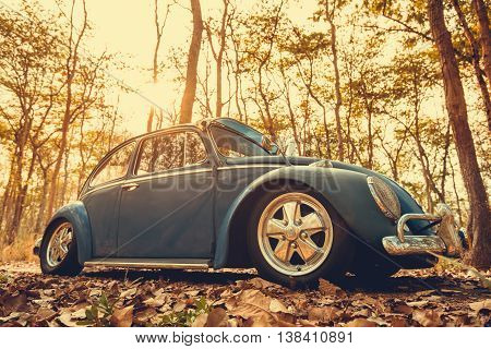 Vintage Car Volkswagen Retro Blue Color In Forest Leaves Brown
