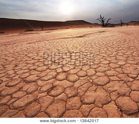 Valle morta in Namibia
