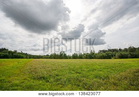 Green field, sunny day with masive clouds.