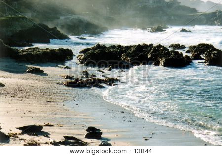 17 Mile Drive : Monterey, Californie