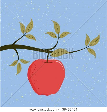 A red apple on a branch of a tree