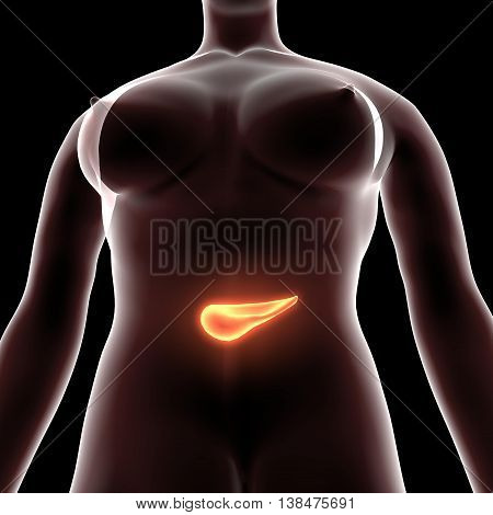 3D render and 3d illustration The ova are defined as the larger gametes in a heterogamous reproduction system, while the smaller, usually motile gamete, the spermatozoon, is produced by the male.