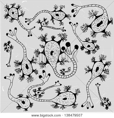 Biological background vector illustration. Micro world editable concept. Hand drawn outlined black doodles on a light gray textured blackboard. Scentific bio pattern.