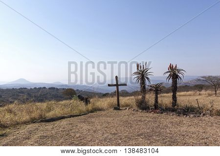 Wood Cross On Hilltop With Three Aloe Plants Depicting Crucifixion