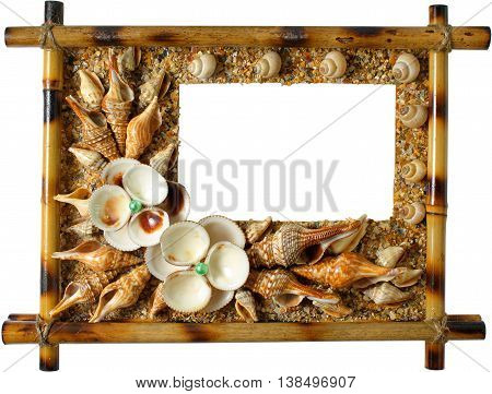 Photoframework from sea cockleshells isolated on white background